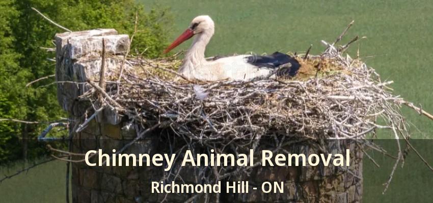 Chimney Animal Removal Richmond Hill - ON