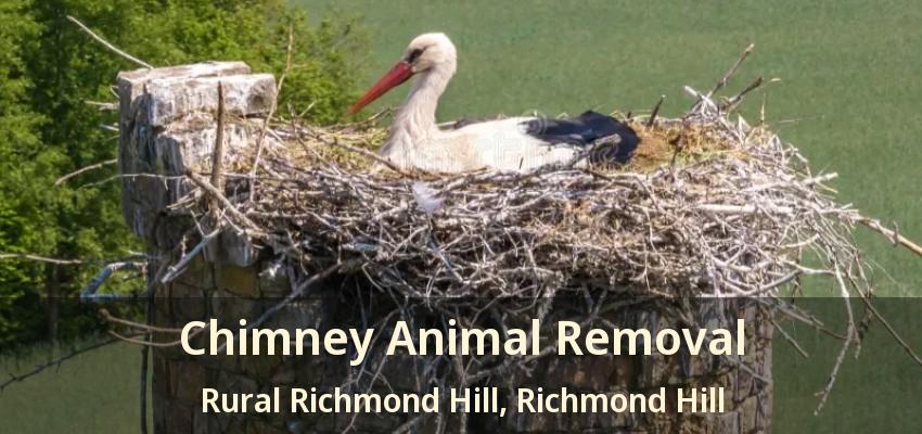 Chimney Animal Removal Rural Richmond Hill, Richmond Hill - ON