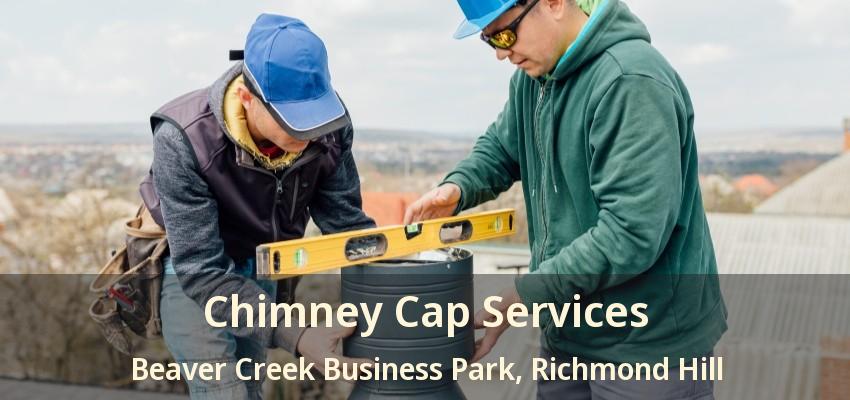 Chimney Cap Services Beaver Creek Business Park, Richmond Hill - ON
