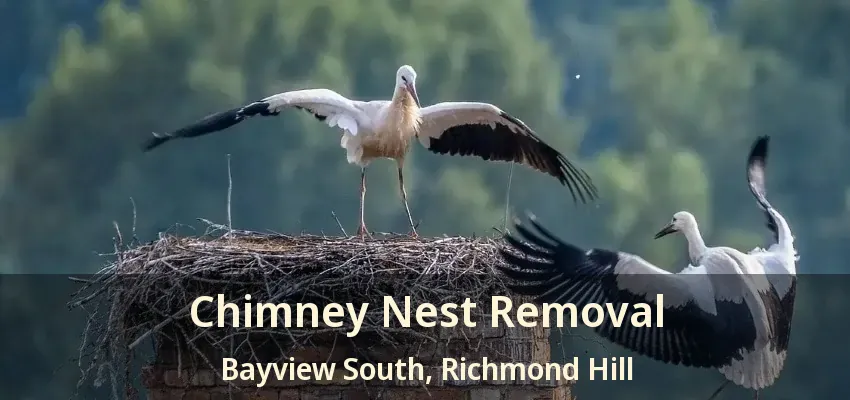 Chimney Nest Removal Bayview South, Richmond Hill - ON