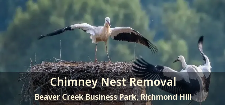Chimney Nest Removal Beaver Creek Business Park, Richmond Hill - ON