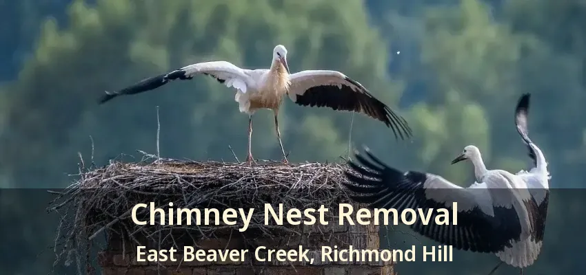 Chimney Nest Removal East Beaver Creek, Richmond Hill - ON