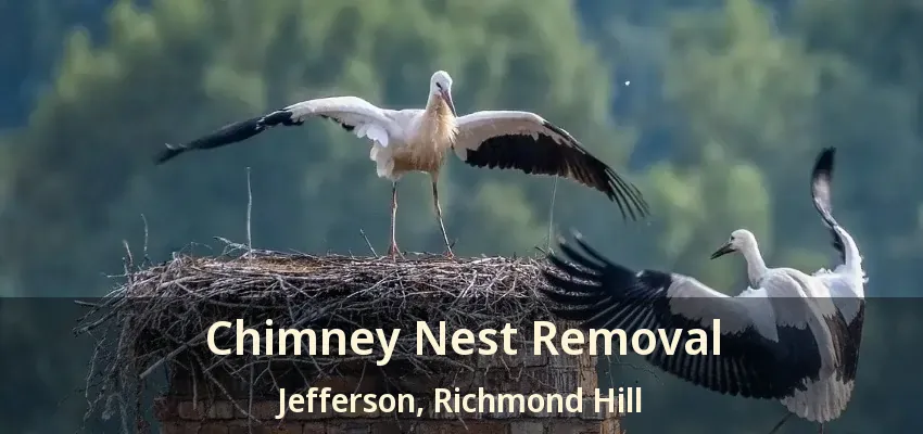 Chimney Nest Removal Jefferson, Richmond Hill - ON