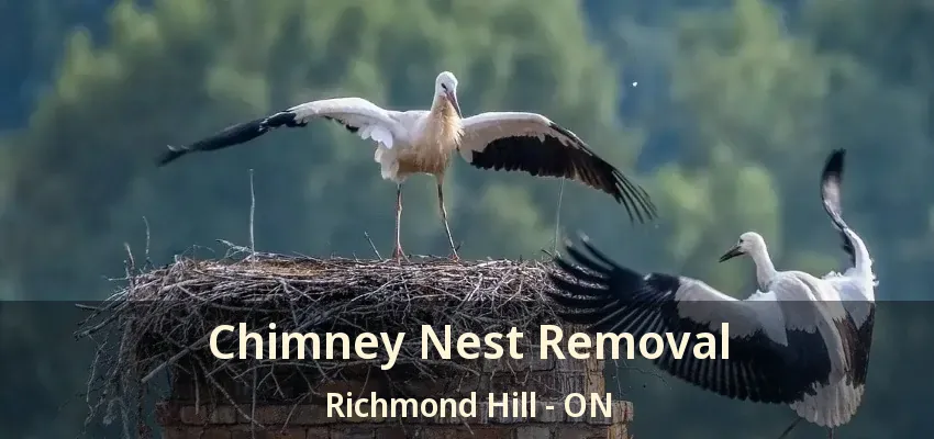 Chimney Nest Removal Richmond Hill - ON