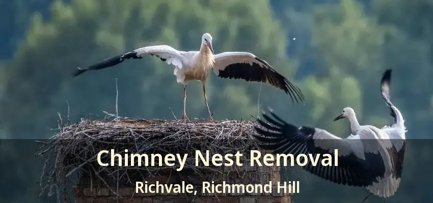 Chimney Nest Removal Richvale, Richmond Hill - ON