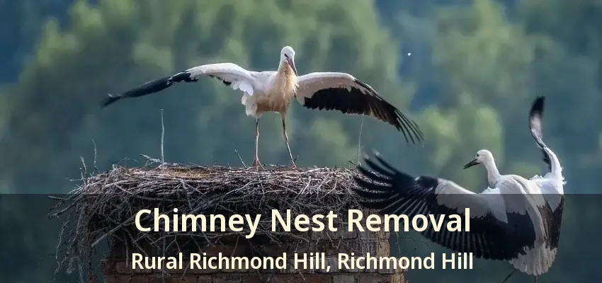 Chimney Nest Removal Rural Richmond Hill, Richmond Hill - ON