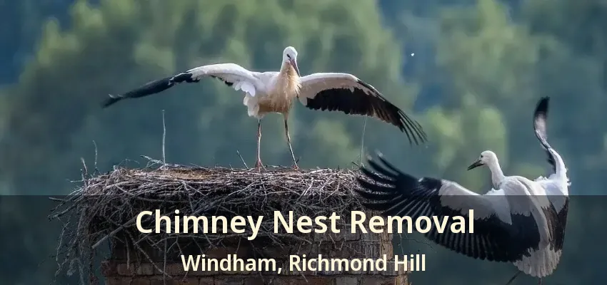 Chimney Nest Removal Windham, Richmond Hill - ON