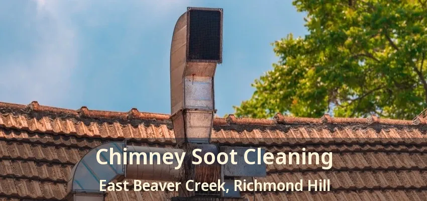 Chimney Soot Cleaning East Beaver Creek, Richmond Hill - ON