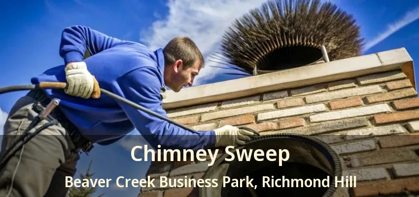 Chimney Sweep Beaver Creek Business Park, Richmond Hill - ON