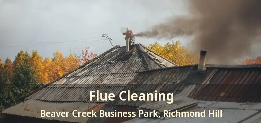 Flue Cleaning Beaver Creek Business Park, Richmond Hill - ON