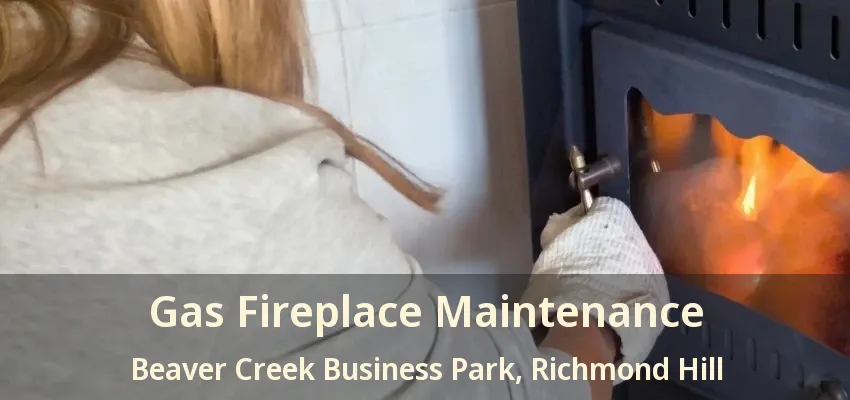 Gas Fireplace Maintenance Beaver Creek Business Park, Richmond Hill - ON