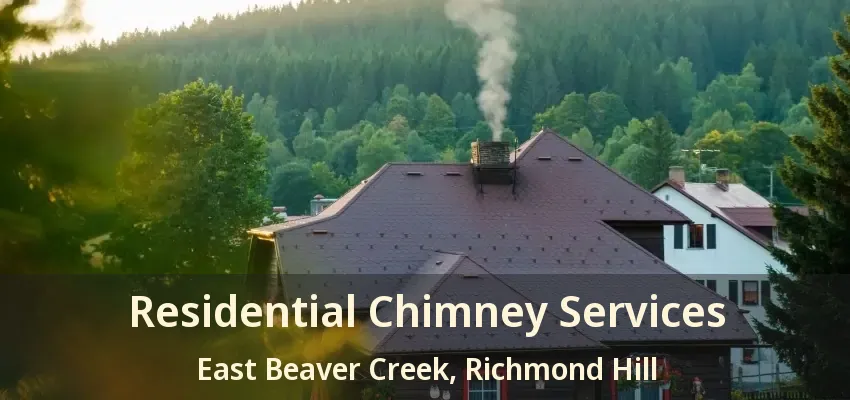 Residential Chimney Services East Beaver Creek, Richmond Hill - ON