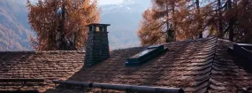 Chimney Animal Removal Richvale, Richmond Hill